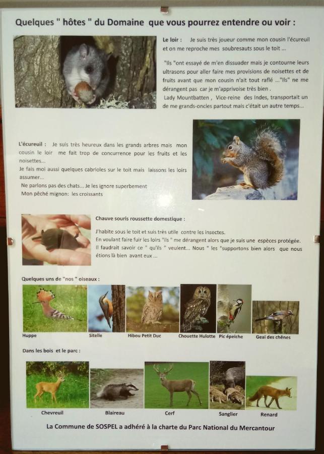 Domaine Du Parais B&B Sospel Kültér fotó