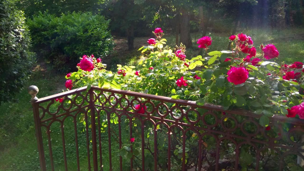 Domaine Du Parais B&B Sospel Kültér fotó