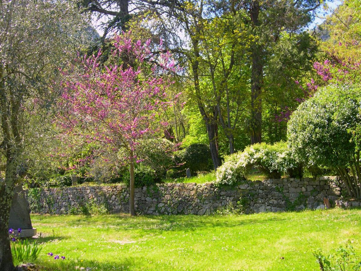 Domaine Du Parais B&B Sospel Kültér fotó